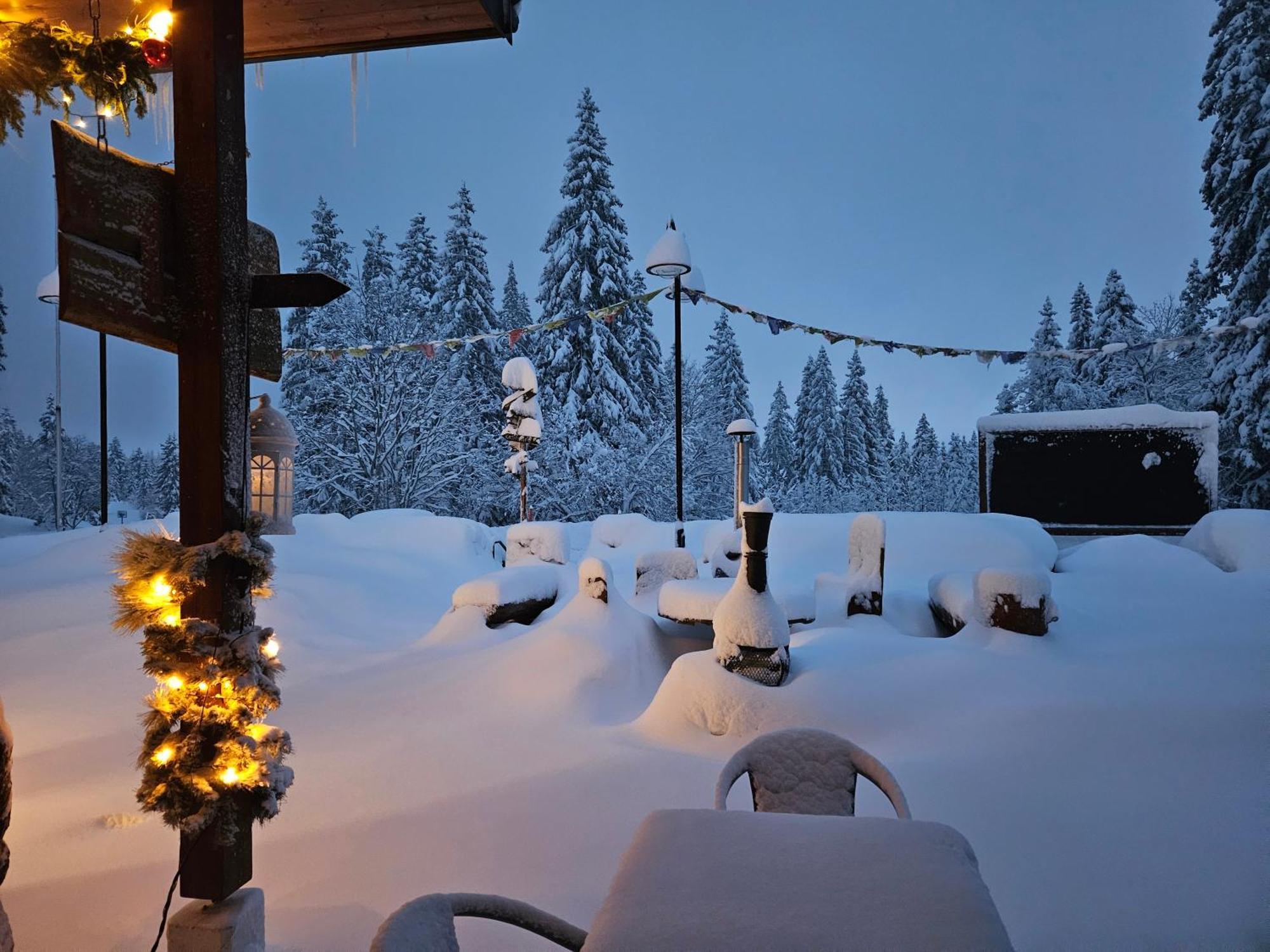 Hotel Restaurant Du Marchairuz Ле-Брасю Экстерьер фото